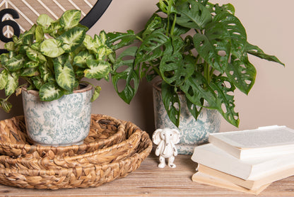 Pot Éclat de Verdure