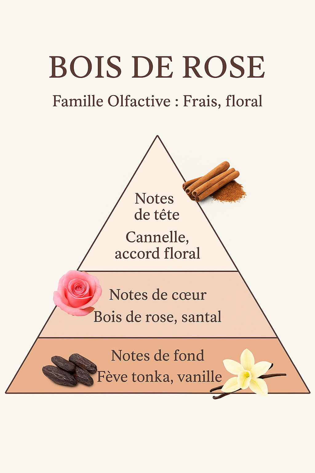 Composition Forêt d'Automne